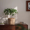 French Country Woven Planter Basket - RusticReach