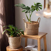 French Country Woven Planter Basket - RusticReach