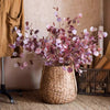 Golden Haze Eucalyptus Stem 37.7" Tall - RusticReach