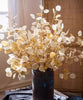 Golden Haze Eucalyptus Stem 37.7" Tall - RusticReach