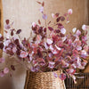 Golden Haze Eucalyptus Stem 37.7" Tall - RusticReach