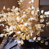 Golden Haze Eucalyptus Stem 37.7" Tall - RusticReach