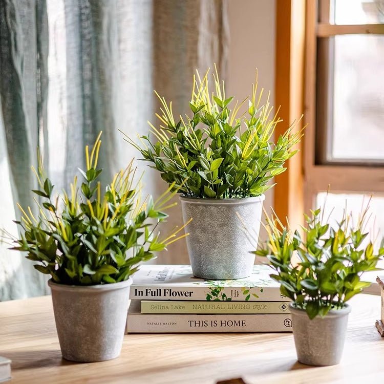 Golden Needle Potted Plant - RusticReach