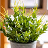 Golden Needle Potted Plant - RusticReach