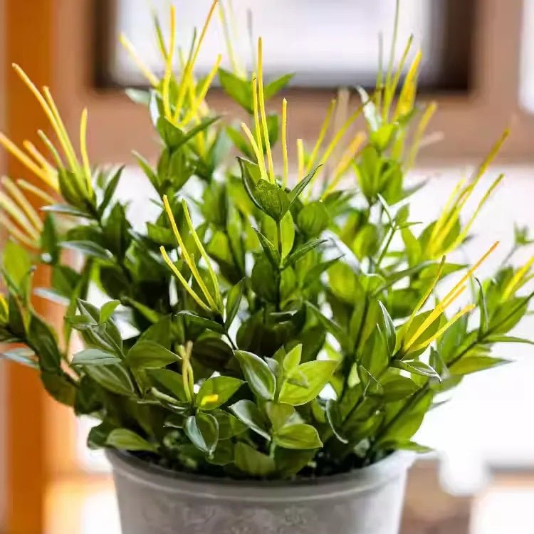 Golden Needle Potted Plant - RusticReach