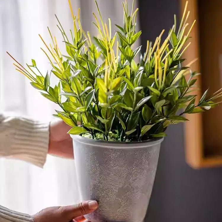 Golden Needle Potted Plant - RusticReach