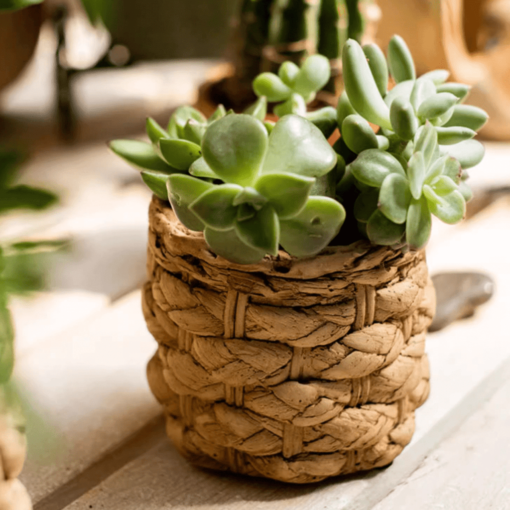 Grass Woven Looking Cement Planter - RusticReach