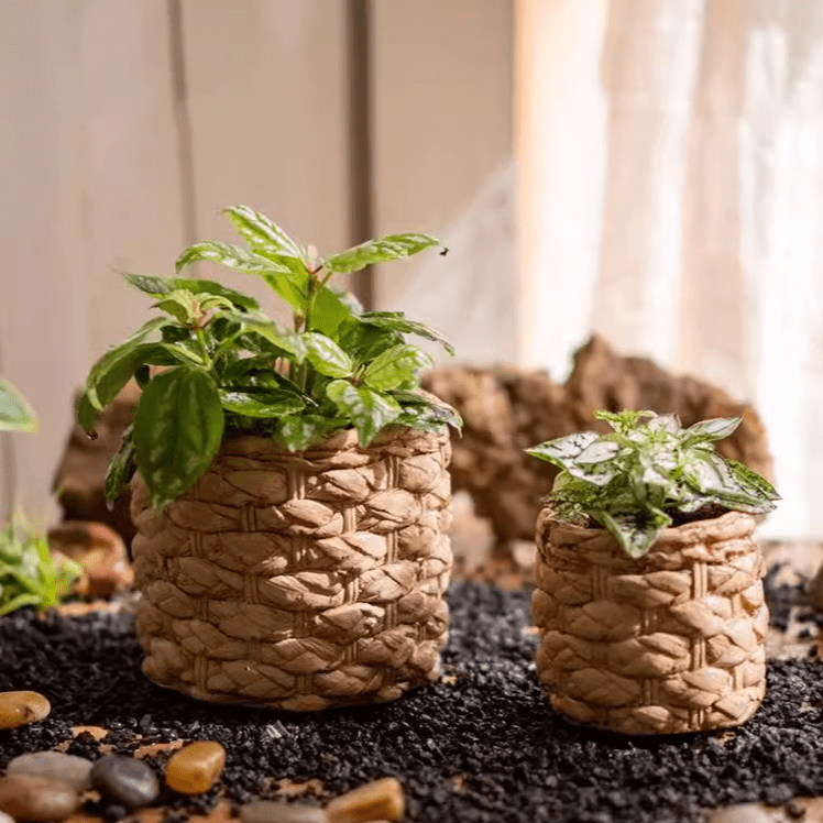 Grass Woven Looking Cement Planter - RusticReach