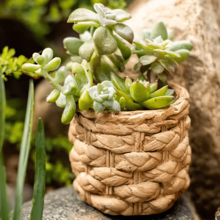 Grass Woven Looking Cement Planter - RusticReach