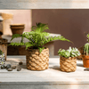 Grass Woven Looking Cement Planter - RusticReach