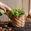 Grass Woven Looking Cement Planter - RusticReach