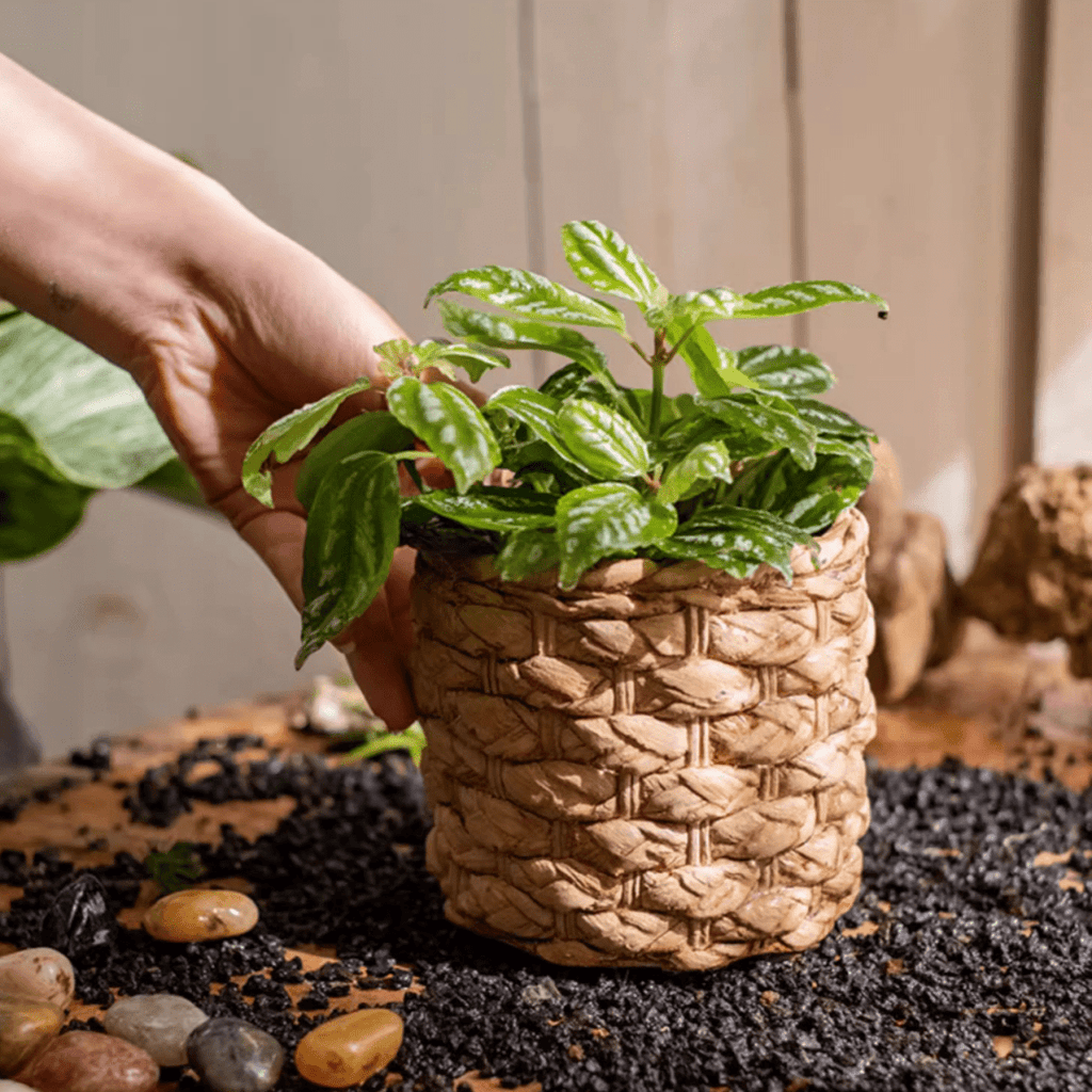 Grass Woven Looking Cement Planter - RusticReach