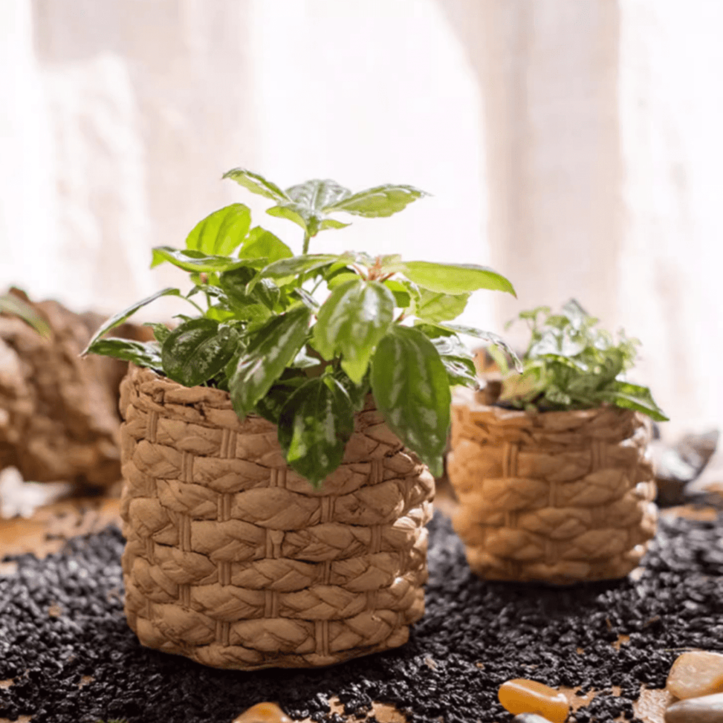 Grass Woven Looking Cement Planter - RusticReach