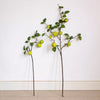 Artificial Green Apple Branch with Leaves - RusticReach