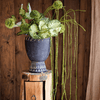 Artificial Vine Hanging Thin Succulent Stem - RusticReach