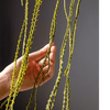 Artificial Vine Hanging Thin Succulent Stem - RusticReach