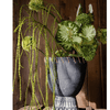 Artificial Vine Hanging Thin Succulent Stem - RusticReach