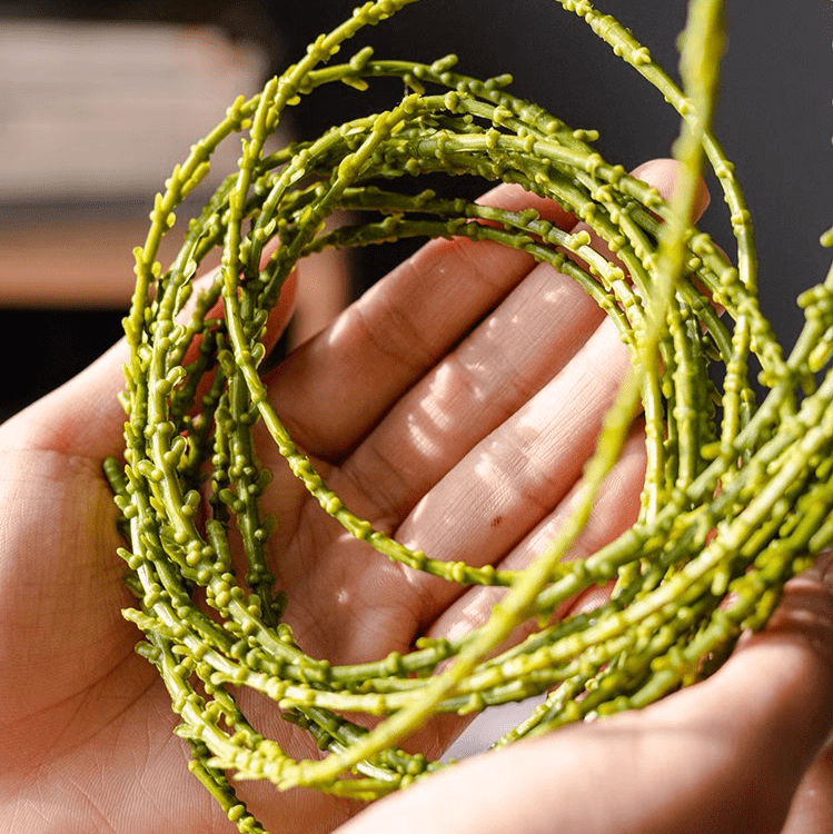 Artificial Vine Hanging Thin Succulent Stem - RusticReach
