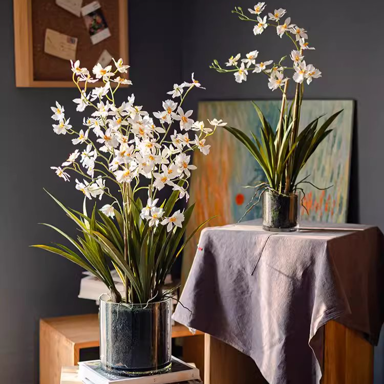 White Hui Lan Orchid in Glass Pot