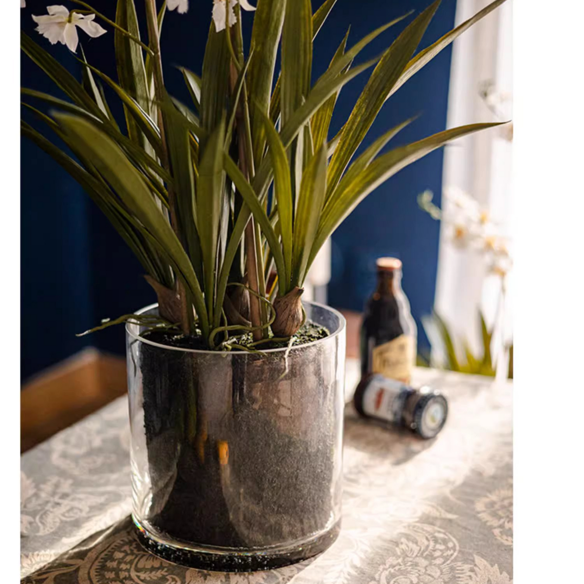 White Hui Lan Orchid in Glass Pot