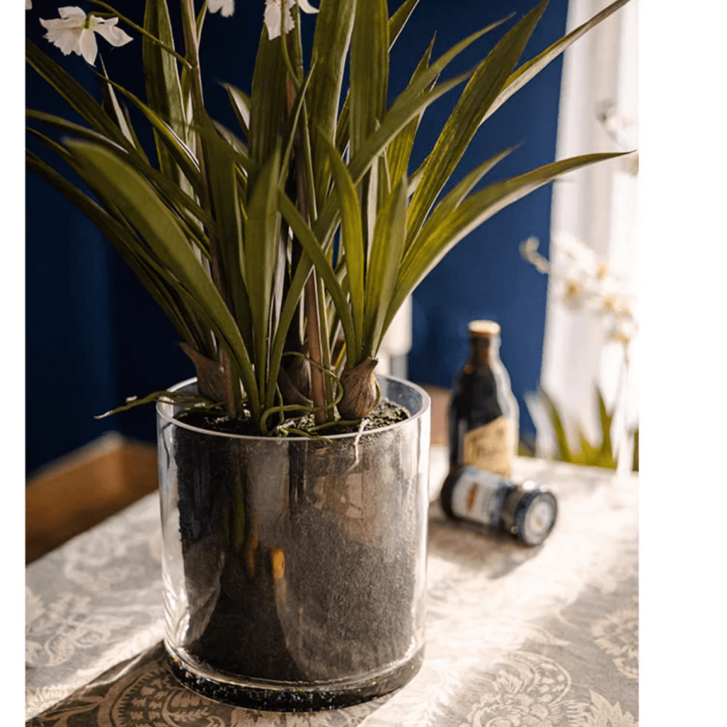 White Hui Lan Orchid in Glass Pot - RusticReach