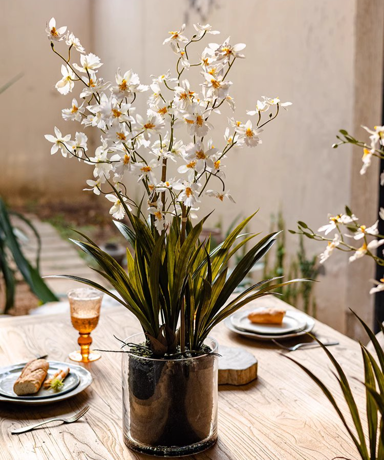 White Hui Lan Orchid in Glass Pot