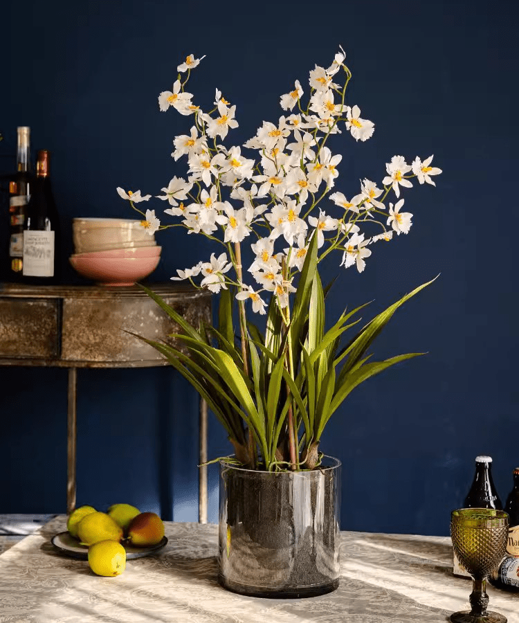 White Hui Lan Orchid in Glass Pot - RusticReach