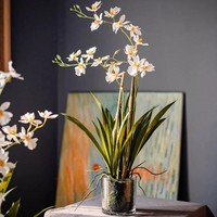 White Hui Lan Orchid in Glass Pot