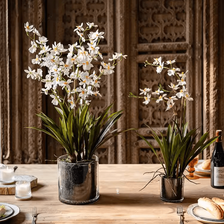 White Hui Lan Orchid in Glass Pot - RusticReach