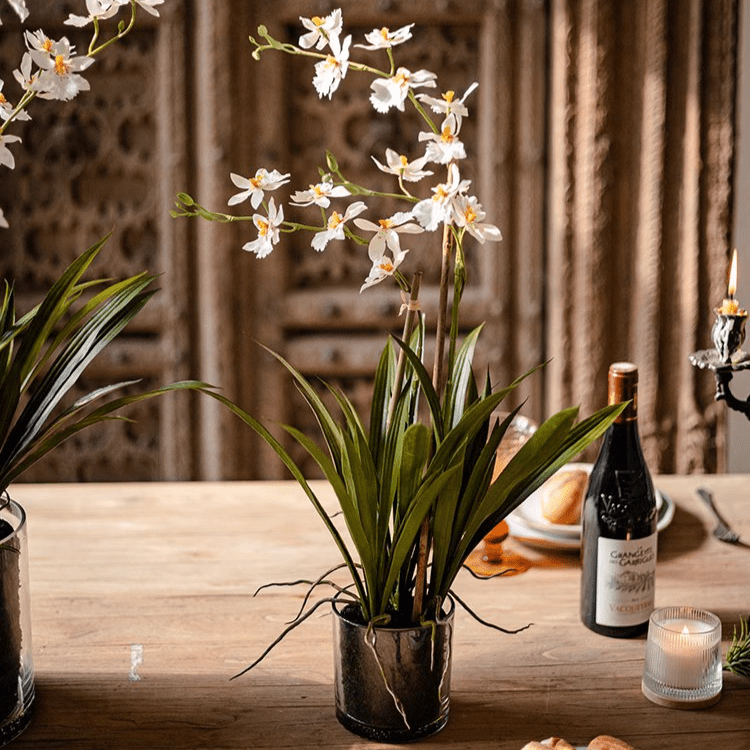 White Hui Lan Orchid in Glass Pot - RusticReach