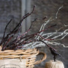 Ikebana Twig Branch - RusticReach