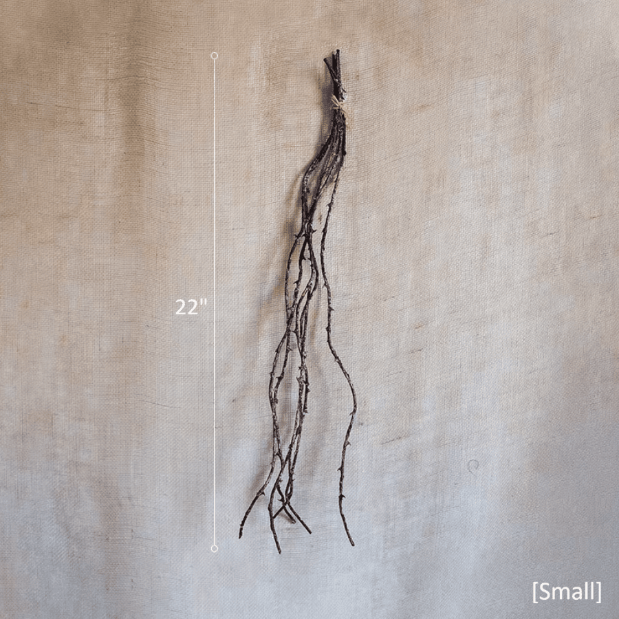 Ikebana Twig Branch - RusticReach