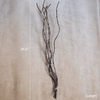Ikebana Twig Branch - RusticReach