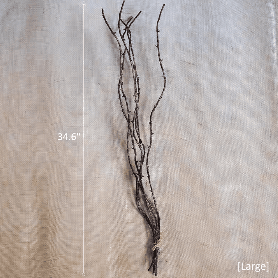 Ikebana Twig Branch - RusticReach