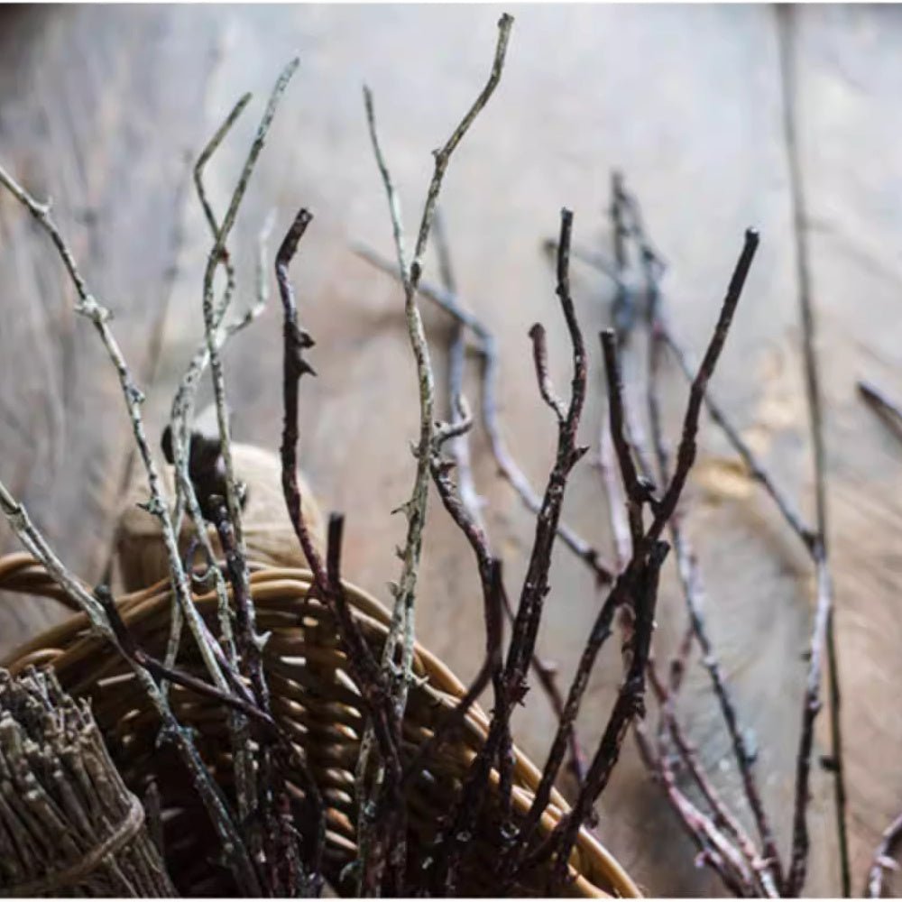 Ikebana Twig Branch - RusticReach