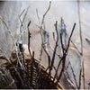Ikebana Twig Branch - RusticReach