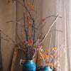 Ikebana Twig Branch - RusticReach