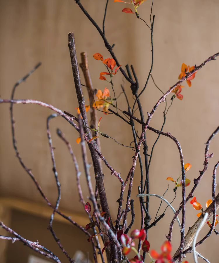 Ikebana Twig Branch - RusticReach