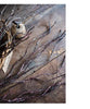 Ikebana Twig Branch - RusticReach