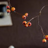 Leafless Berry Branch Stem 45.2" Tall - RusticReach