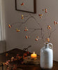 Leafless Berry Branch Stem 45.2" Tall - RusticReach