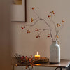 Leafless Berry Branch Stem 45.2" Tall - RusticReach
