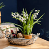 Faux Lily of the Valley in Brown Pot - RusticReach
