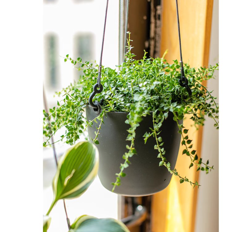 Modern Resin Hanging Planter for Artificial Plants