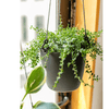 Modern Resin Hanging Planter for Artificial Plants - RusticReach