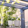 Modern Resin Hanging Planter for Artificial Plants - RusticReach