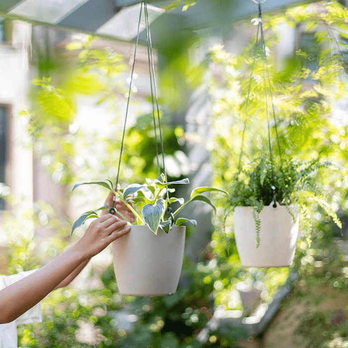 Modern Resin Hanging Planter for Artificial Plants - RusticReach