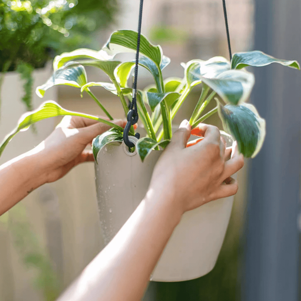 Modern Resin Hanging Planter for Artificial Plants - RusticReach