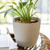 Modern Resin Hanging Planter for Artificial Plants - RusticReach