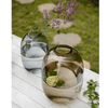 Modern Clear Glass Vase - RusticReach